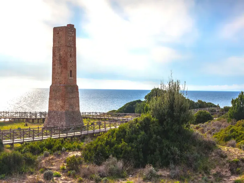 Obra nueva in Artola