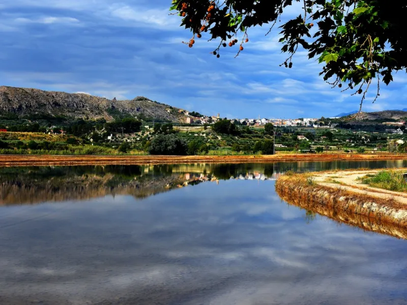 Obra nueva in Calasparra