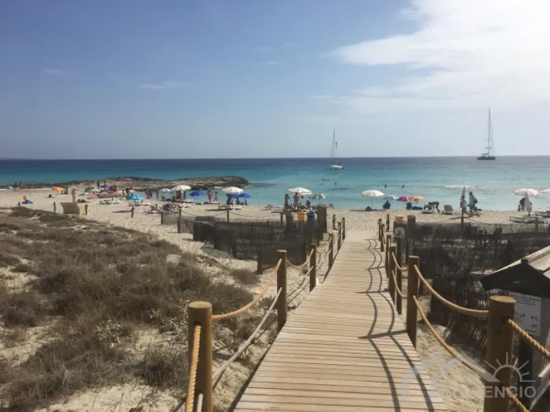 Obra nueva in Formentera del Segura