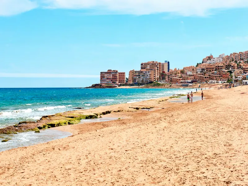 Obra nueva in La Mata