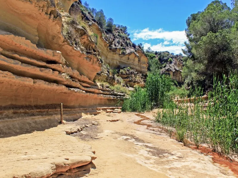 Obra nueva in Pinar de Campoverde