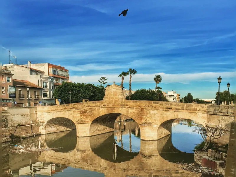 Obra nueva in Rojales