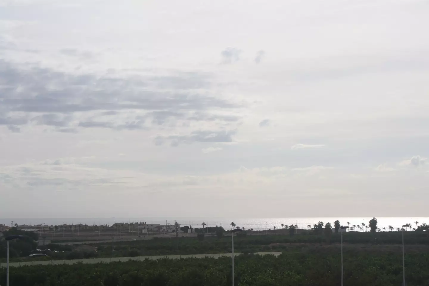Viveros II